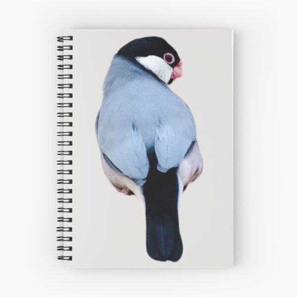 Item preview, Java Sparrow designed and sold by RainbowSpinkle.