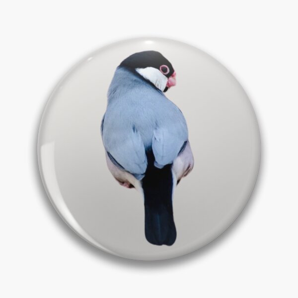 Item preview, Java Sparrow designed and sold by RainbowSpinkle.