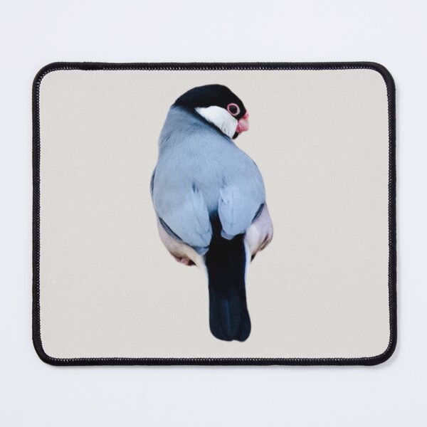 Item preview, Java Sparrow designed and sold by RainbowSpinkle.