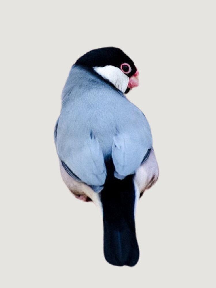 Thumbnail 4 of 4, iPhone Case, Java Sparrow designed and sold by RainbowSpinkle.