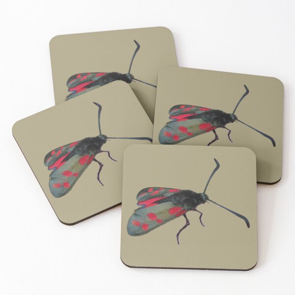 Item preview, Six Spot Burnet Moth designed and sold by RainbowSpinkle.