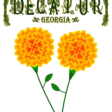 Artwork thumbnail, Decatur Georgia by MoMidoStore
