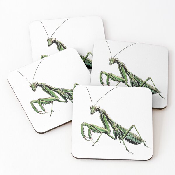 Item preview, Green Praying Mantis Detailed Illustration designed and sold by prehistoricco.