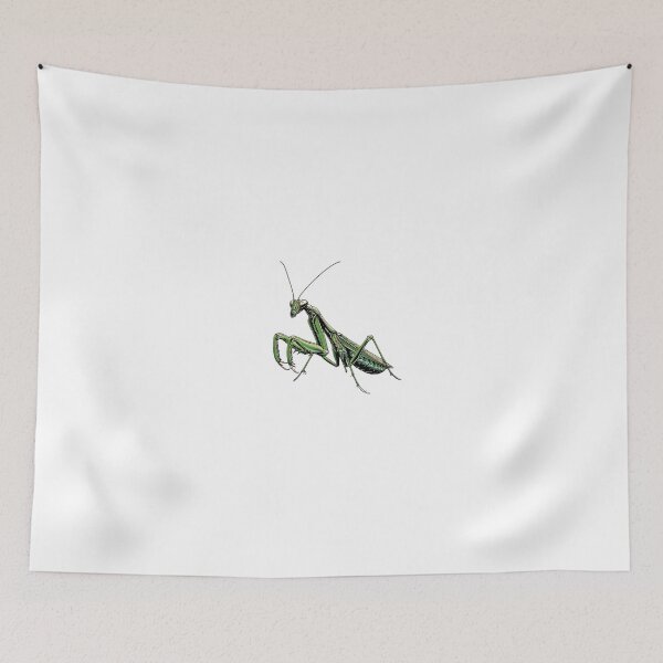 Item preview, Green Praying Mantis Detailed Illustration designed and sold by prehistoricco.