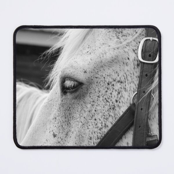 Item preview, Horse Percheron Eyelashes Close-Up Nuetral Tones designed and sold by Kizzydesign.