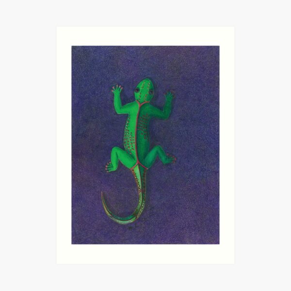 Gecko Art Print