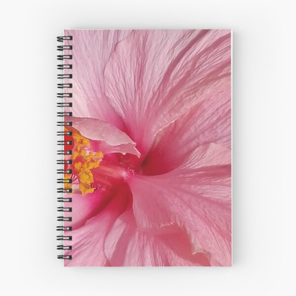 Item preview, Pink cayenne, jamaica flower or Hibiscus Sabdariffa designed and sold by AryAli.