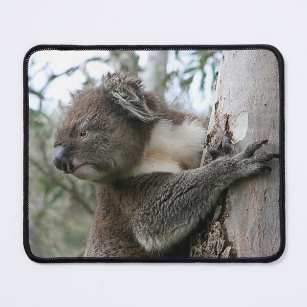 Item preview, Intimidating Koala designed and sold by ezcreate.media.