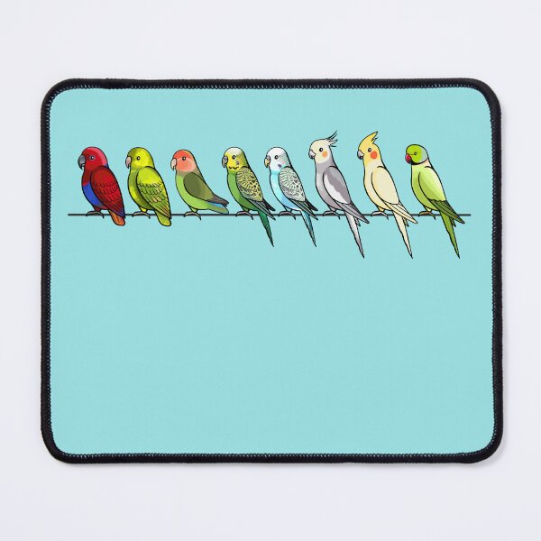 Item preview, Bird Lineup Small Psittacines Parrotlets Parakeets Cockatiels Eclectus  designed and sold by haleylouise.