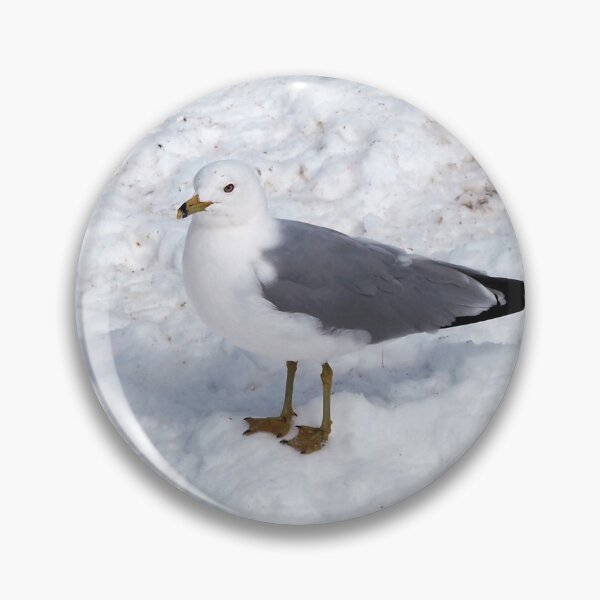 Item preview, Gull Standing On The Winter Snow designed and sold by BackyardBirder.