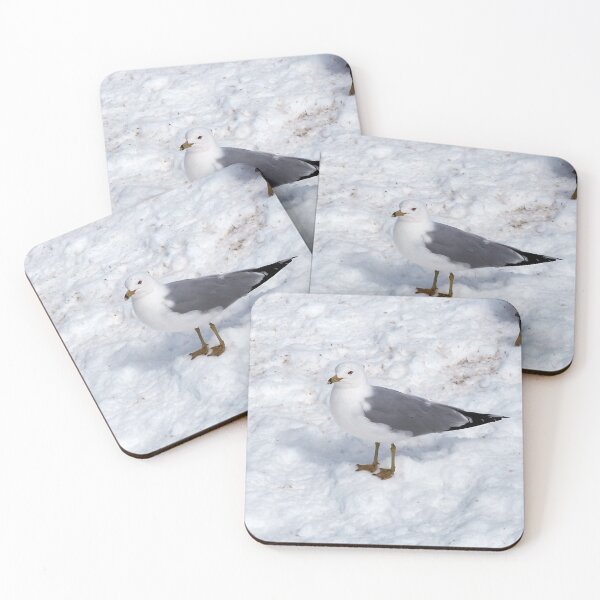 Item preview, Gull Standing On The Winter Snow designed and sold by BackyardBirder.