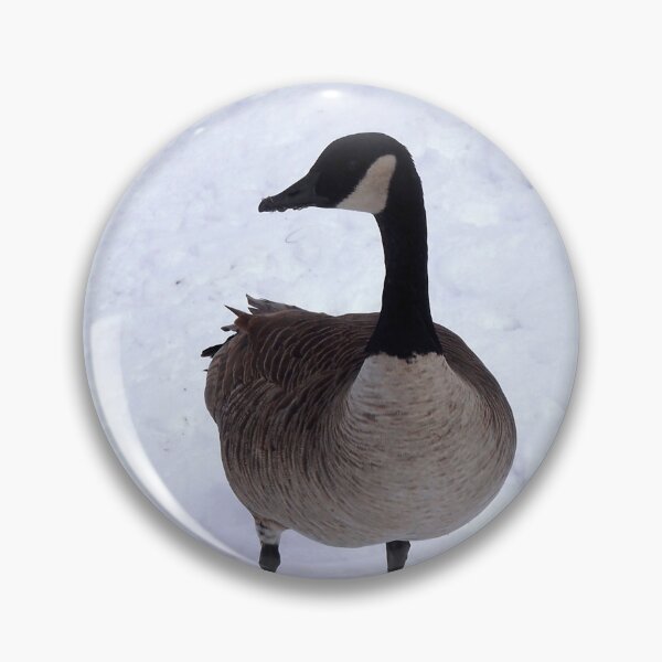 Item preview, Canada Goose Standing On The Snow designed and sold by BackyardBirder.