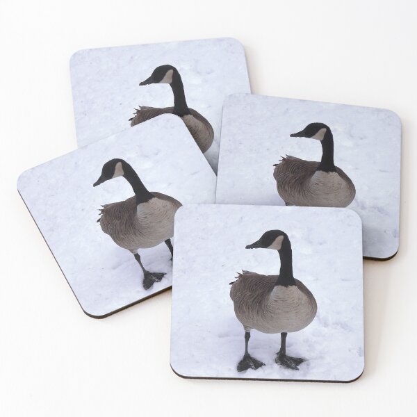 Item preview, Canada Goose Standing On The Snow designed and sold by BackyardBirder.