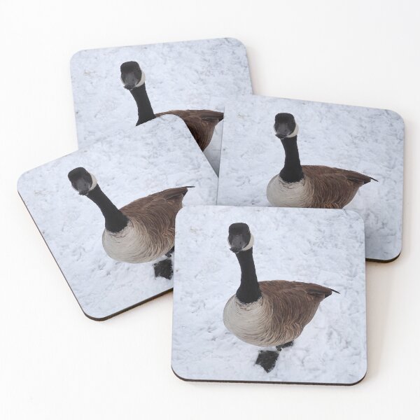 Item preview, Cute Canada Goose Staring At The Camera In The Winter designed and sold by BackyardBirder.