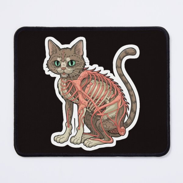 Item preview, cat anatomy designed and sold by swiftbinaries.