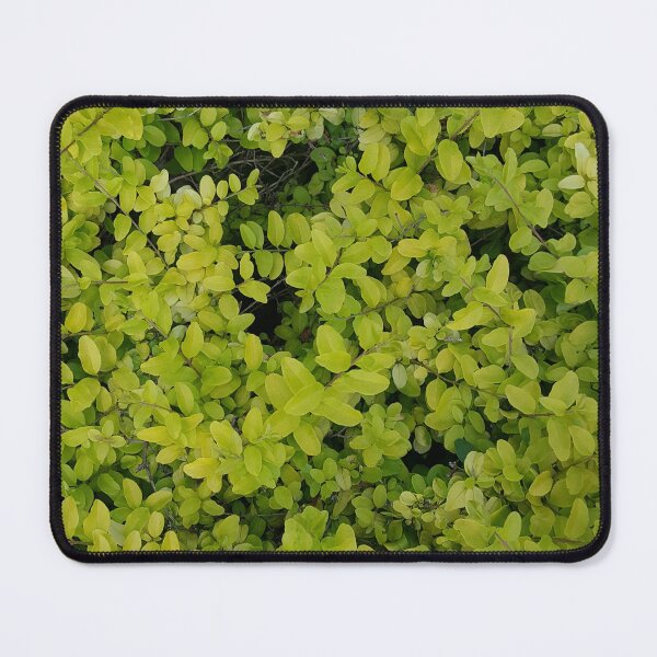 Item preview, Bright green leaves designed and sold by EmmaLilStudio.