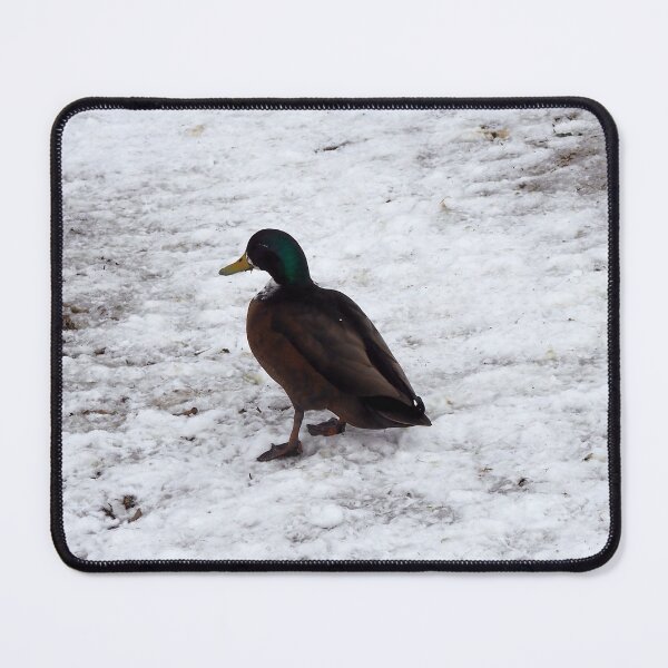 Item preview, Ducks On The Winter Snow designed and sold by BackyardBirder.