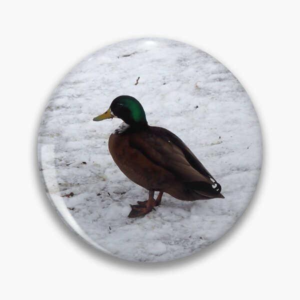 Item preview, Winter Duck With a Brown Chest designed and sold by BackyardBirder.