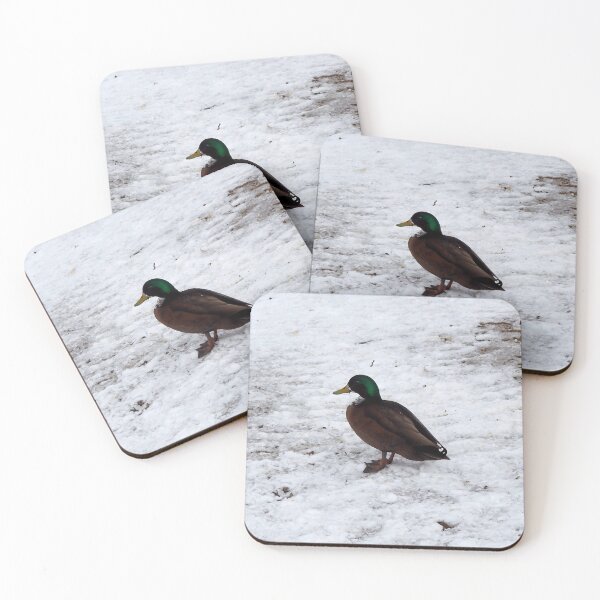 Item preview, Winter Duck With a Brown Chest designed and sold by BackyardBirder.
