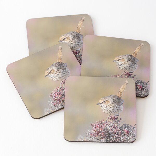 Item preview, Chestnut-rumped Heathwren designed and sold by BirdsofMelb.