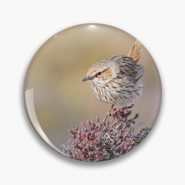 Item preview, Chestnut-rumped Heathwren designed and sold by BirdsofMelb.