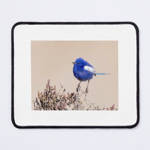Item preview, White-winged Fairywren designed and sold by BirdsofMelb.
