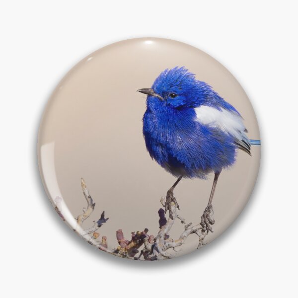 Item preview, White-winged Fairywren designed and sold by BirdsofMelb.