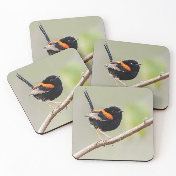 Item preview, Red-backed Fairywren designed and sold by BirdsofMelb.
