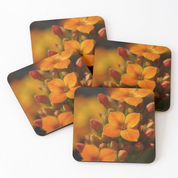 Item preview, Yellow flower of kalanchoe closeup designed and sold by Satakorn.