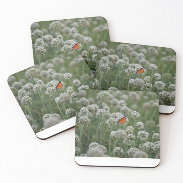Item preview, butterfly garden designed and sold by Cuteenhle.