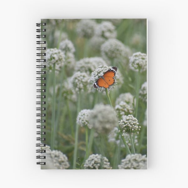 Item preview, butterfly garden designed and sold by Cuteenhle.
