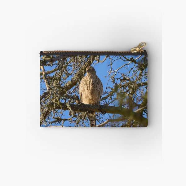 Item preview, The pose. Eurasian goshawk designed and sold by Jouko Lehto Photography.