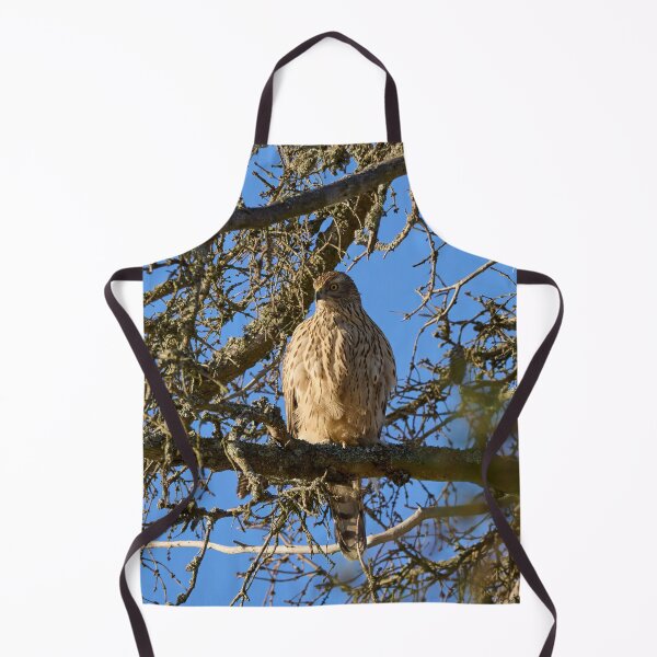 Item preview, The pose. Eurasian goshawk designed and sold by Jouko Lehto Photography.