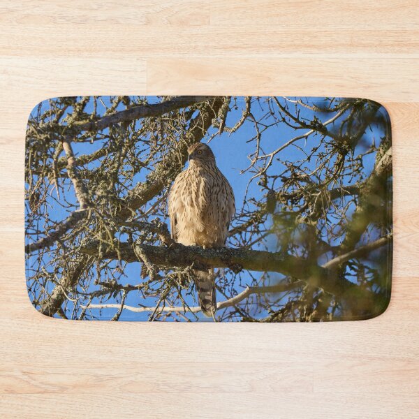 Item preview, The pose. Eurasian goshawk designed and sold by Jouko Lehto Photography.