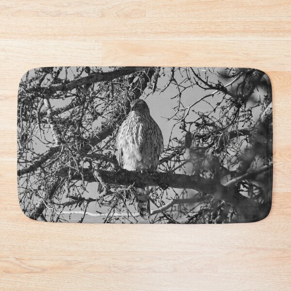 Item preview, The pose. Eurasian goshawk bw designed and sold by Jouko Lehto Photography.
