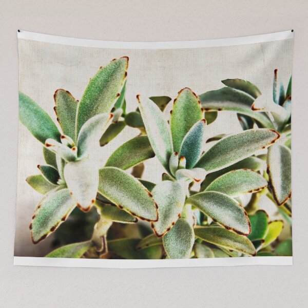 Item preview, cactus leaves designed and sold by TessAndre.