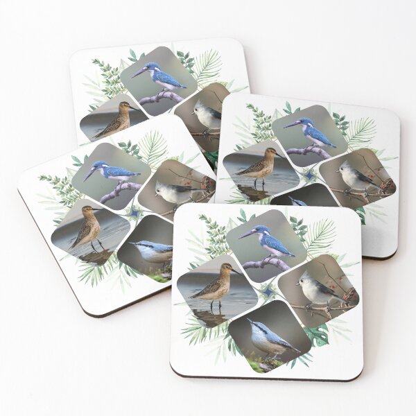 Item preview, Winged Worlds: Exploring Diversity in Avian Life designed and sold by Pixelpluse.