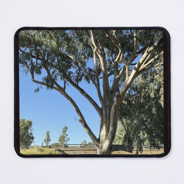 Item preview, Relaxing Spot Under Darby Land Bridge designed and sold by ComicJo.