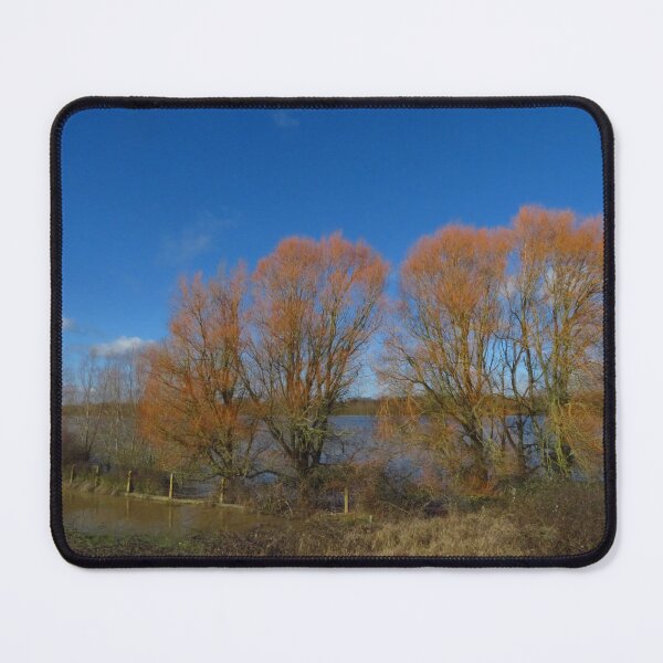 Item preview, Winter Trees, Abberton Reservoir designed and sold by wiggyofipswich.