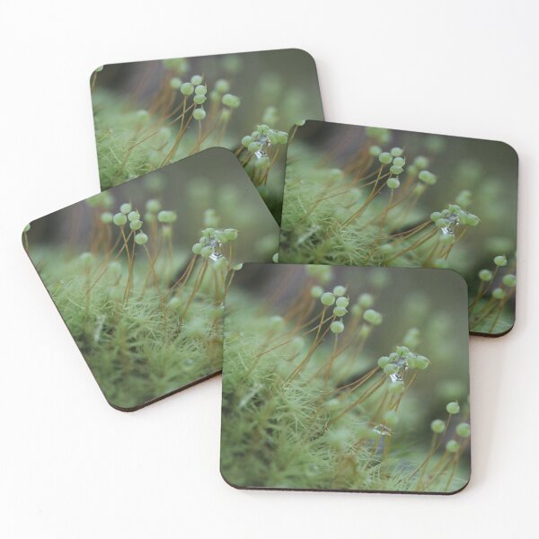 Item preview, Nature's Finest: Macro Shot of Forest Moss designed and sold by insightful-ai.