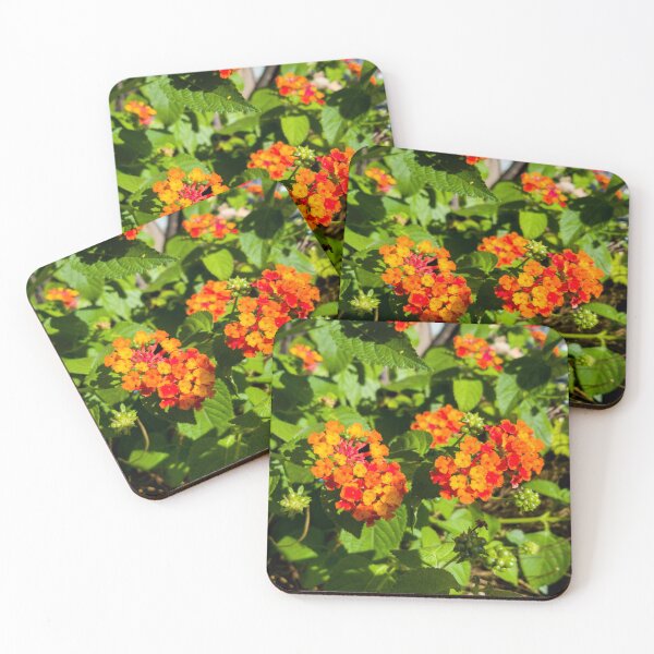 Item preview, lantana designed and sold by yunee.