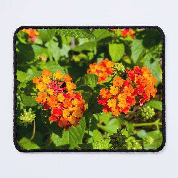 Item preview, lantana designed and sold by yunee.