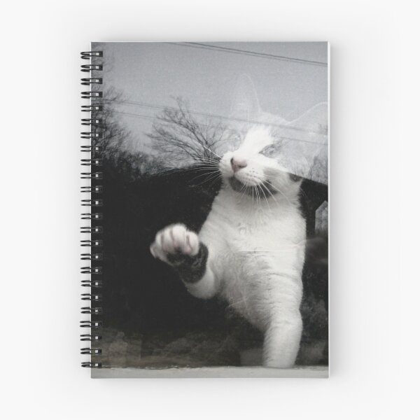 Item preview, Can I come out? designed and sold by Frankie Cat Photography.