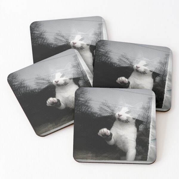 Item preview, Can I come out? designed and sold by Frankie Cat Photography.