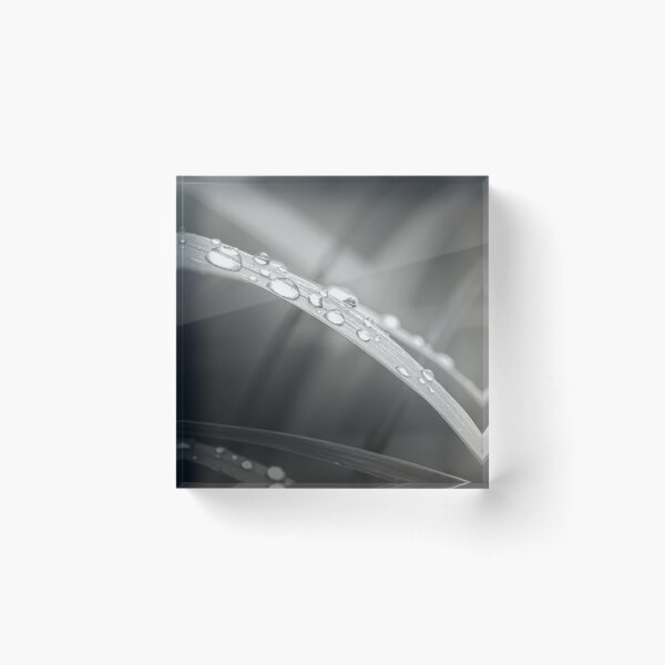 Item preview, Dew drops on a blade of grass. designed and sold by Natur-im-fokus.