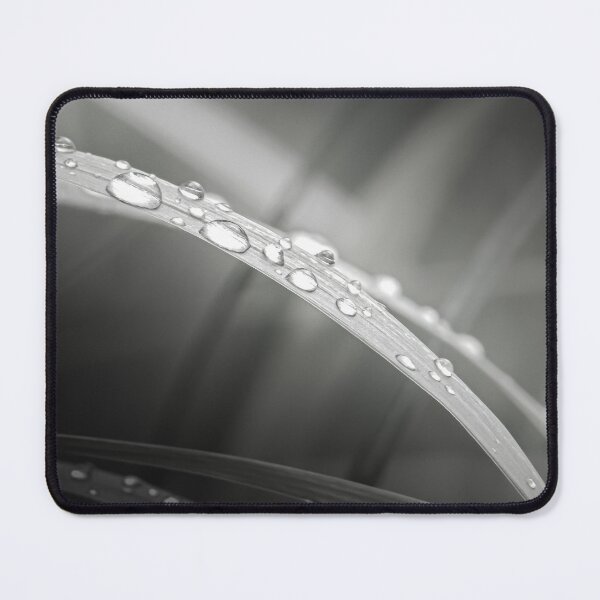 Item preview, Dew drops on a blade of grass. designed and sold by Natur-im-fokus.