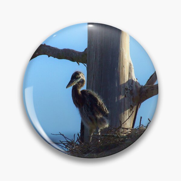 Item preview,  Baby Heron In The Nest designed and sold by MercerImages.