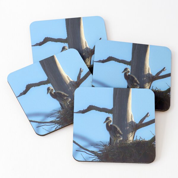 Item preview,  Baby Heron In The Nest designed and sold by MercerImages.