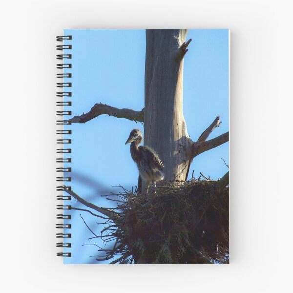 Item preview,  Baby Heron In The Nest designed and sold by MercerImages.