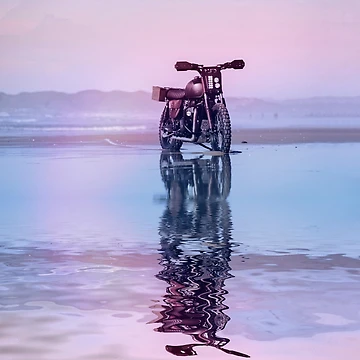 Artwork thumbnail, Born To Ride by Sunnytime